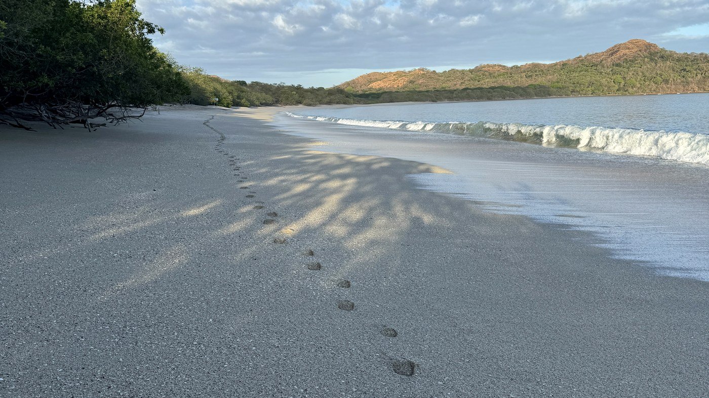 Footprints on a Pacific Costa Rica beach at sunrise