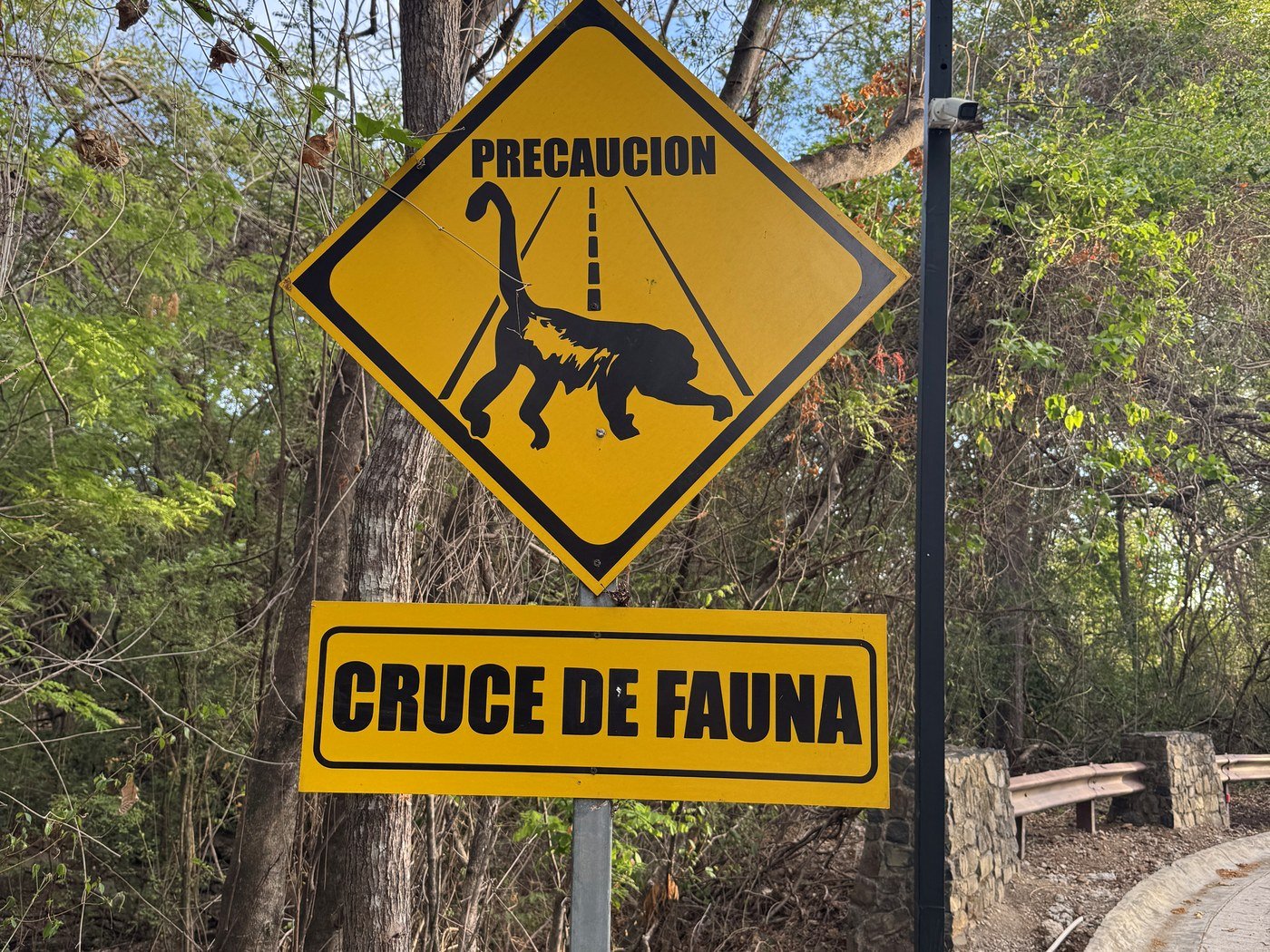 Animal crossing sign in Guanacaste Costa Rica