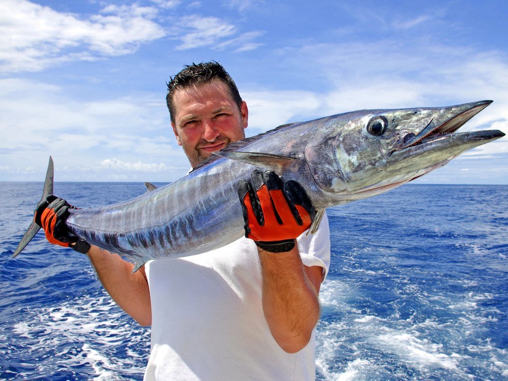 Wahoo - Costa Rica deep sea fishing target species