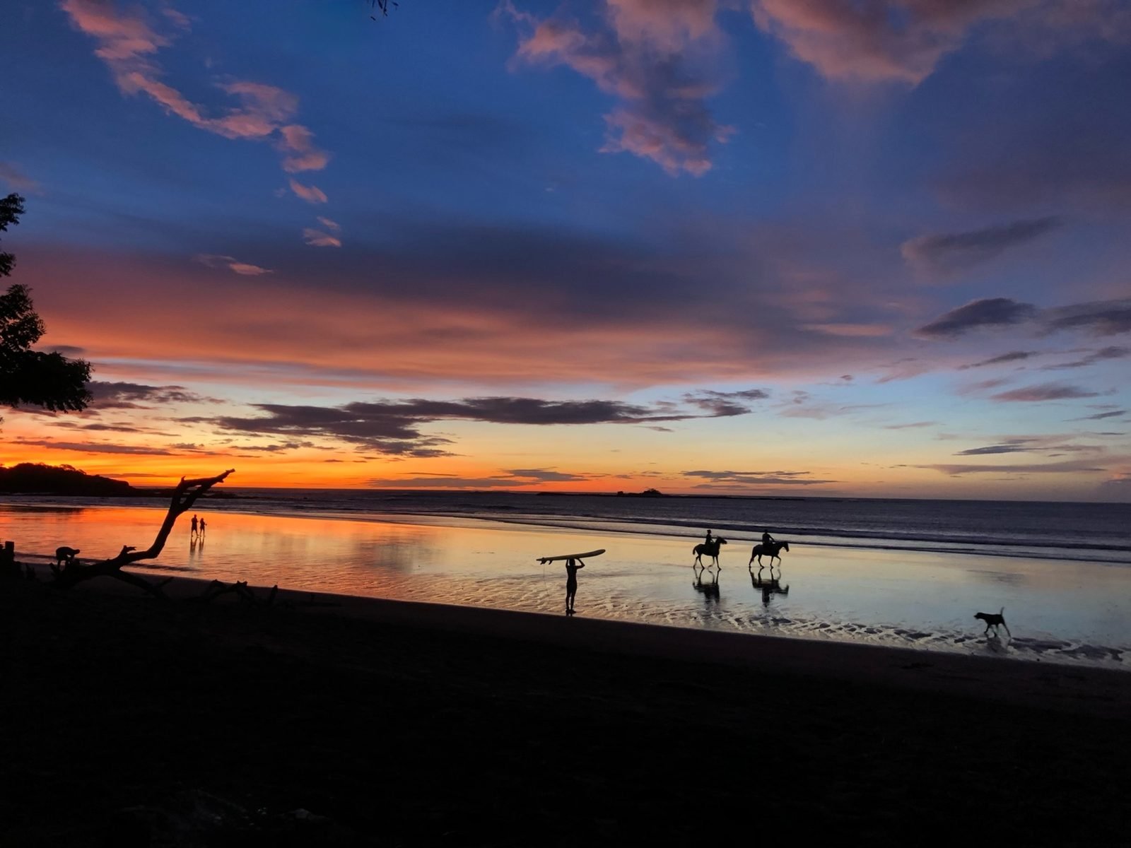 Surfer and horseback riders on Tamarindo beach at sunset during Costa Rica dry season