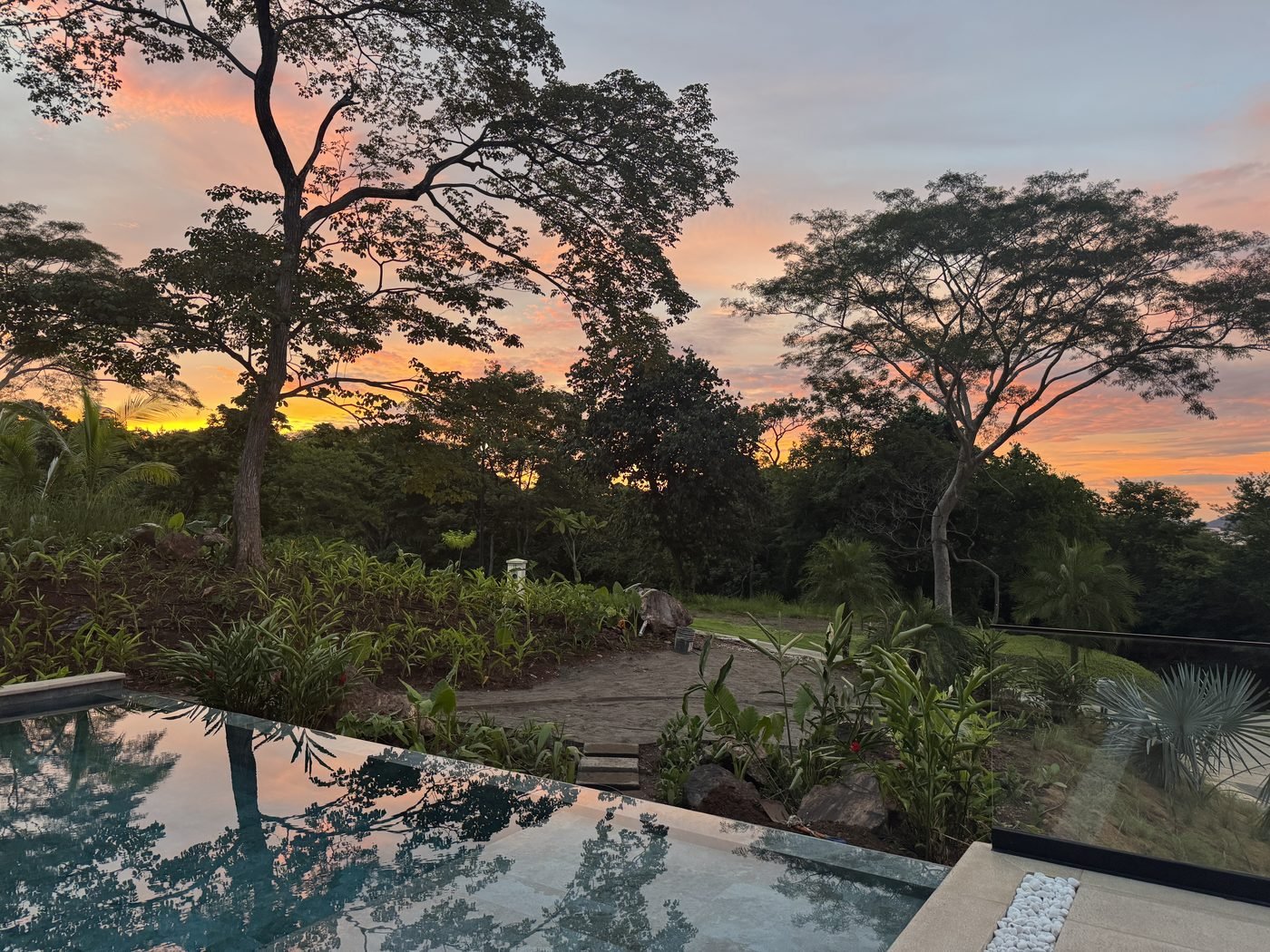 Villa infinity pool near Tamarindo under a pink green season sunset with lush Guanacaste trees