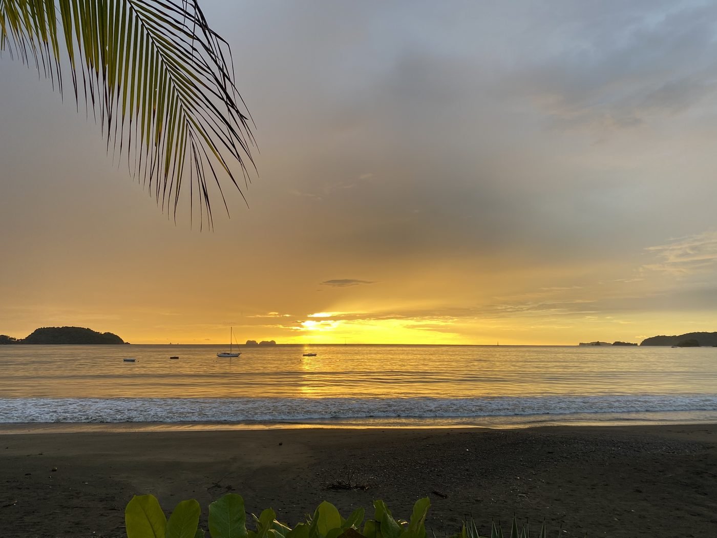 Glassy June green season evening near Playa Conchal and Brasilito with palm frond overhead